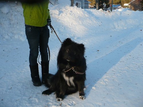 Kalevankarhu